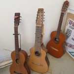 the middle one is an 8-string alto guitar